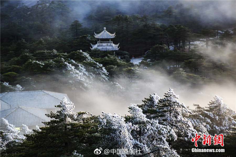 岳倫系列