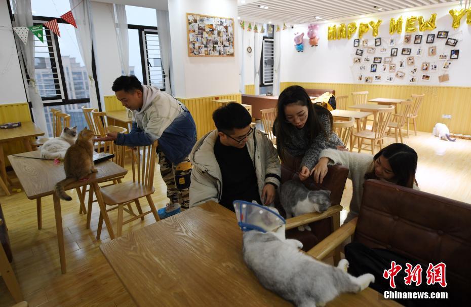 飛灰by余酲好看嗎