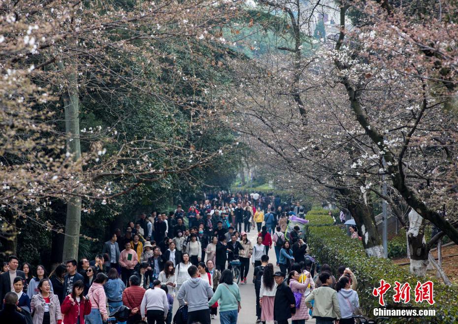 束縛的縛可以組什么詞