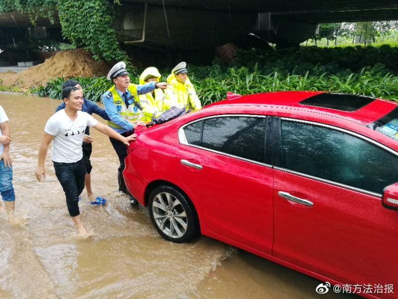 女主蘇杳和四個國防生