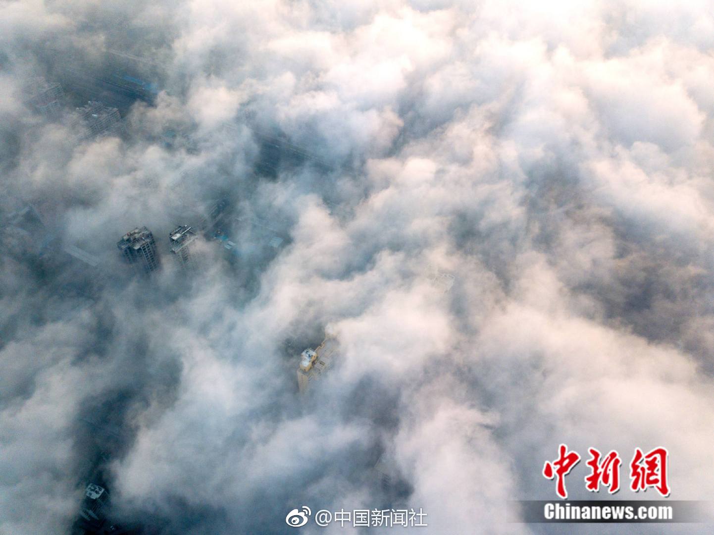 羅曼蒂克消亡史電影在線觀看完整版