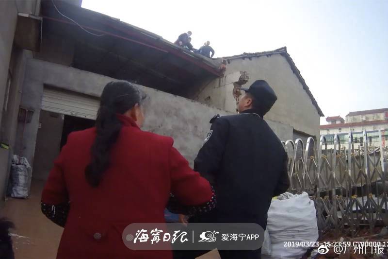 強求by竹澗飲茶