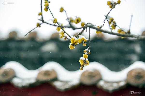 《不枉》by余酲